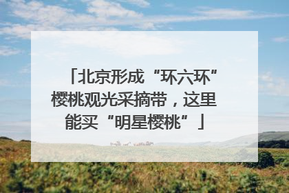北京形成“环六环”樱桃观光采摘带，这里能买“明星樱桃”