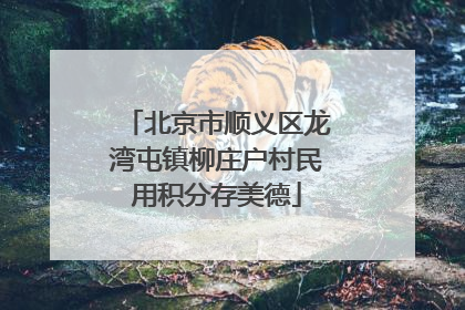 北京市顺义区龙湾屯镇柳庄户村民用积分存美德