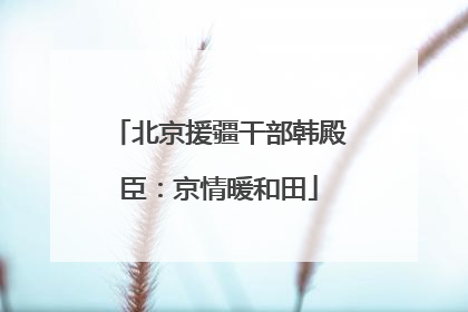 北京援疆干部韩殿臣：京情暖和田