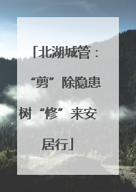 北湖城管：“剪”除隐患树“修”来安居行