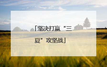 坚决打赢“三夏”攻坚战