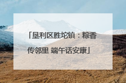 垦利区胜坨镇：粽香传邻里 端午话安康