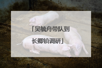 吴毓舟带队到长卿镇调研