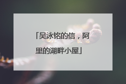 吴泳铭的信，阿里的湖畔小屋