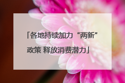各地持续加力“两新”政策 释放消费潜力