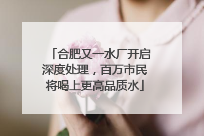 合肥又一水厂开启深度处理，百万市民将喝上更高品质水