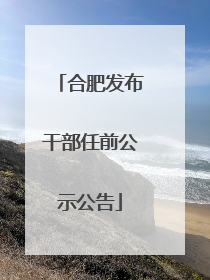 合肥发布干部任前公示公告