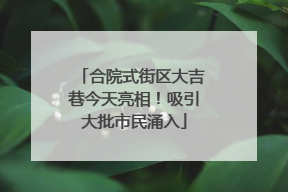 合院式街区大吉巷今天亮相！吸引大批市民涌入