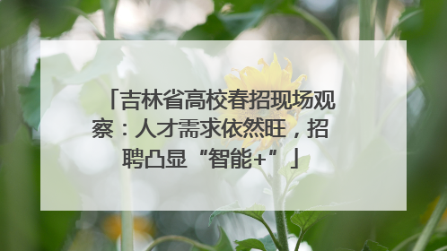 吉林省高校春招现场观察：人才需求依然旺，招聘凸显“智能+”