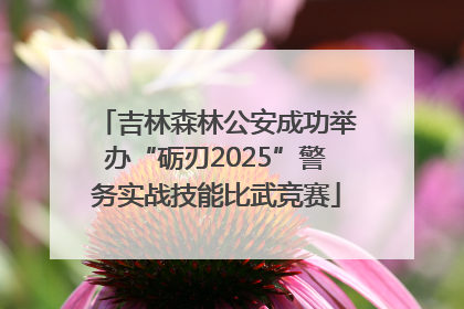 吉林森林公安成功举办“砺刃2025”警务实战技能比武竞赛