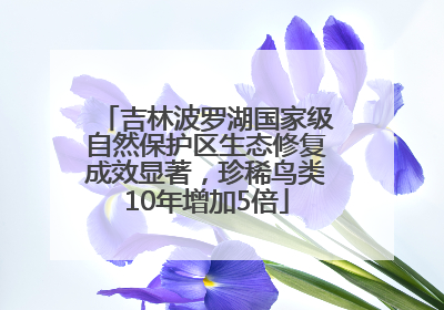 吉林波罗湖国家级自然保护区生态修复成效显著，珍稀鸟类10年增加5倍