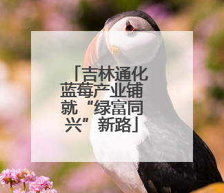 吉林通化蓝莓产业铺就“绿富同兴”新路