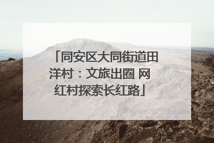 同安区大同街道田洋村：文旅出圈 网红村探索长红路