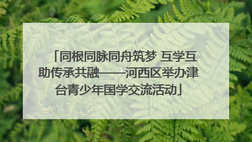 同根同脉同舟筑梦 互学互助传承共融——河西区举办津台青少年国学交流活动
