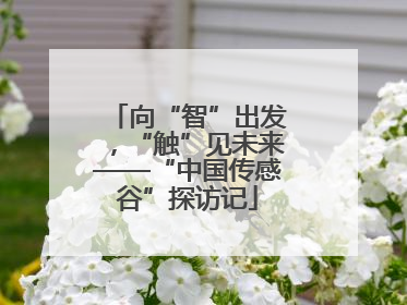 向“智”出发，“触”见未来——“中国传感谷”探访记