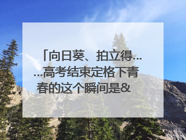 向日葵、拍立得……高考结束定格下青春的这个瞬间是& 8594;｜2025四川高考