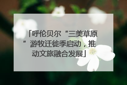 呼伦贝尔“三美草原”游牧迁徙季启动，推动文旅融合发展