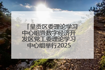 呈贡区委理论学习中心组暨数字经济开发区党工委理论学习中心组举行2025年第七次学习会议