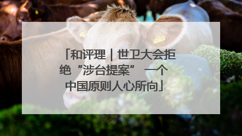 和评理｜世卫大会拒绝“涉台提案” 一个中国原则人心所向