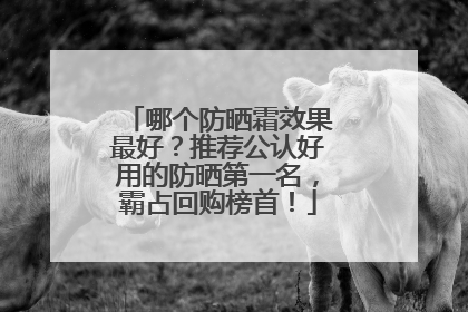 哪个防晒霜效果最好？推荐公认好用的防晒第一名，霸占回购榜首！