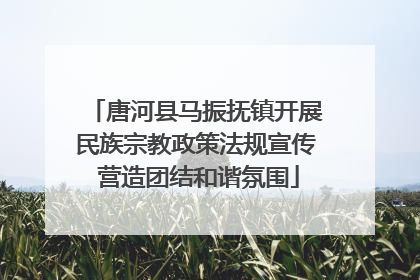 唐河县马振抚镇开展民族宗教政策法规宣传 营造团结和谐氛围