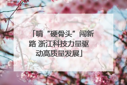 啃“硬骨头”闯新路 浙江科技力量驱动高质量发展