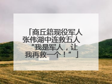 商丘籍现役军人张伟湖中连救五人 “我是军人，让我再救一个！”