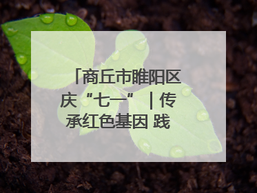 商丘市睢阳区庆“七一”｜传承红色基因 践行初心使命