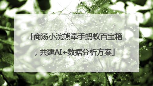 商汤小浣熊牵手蚂蚁百宝箱，共建AI+数据分析方案