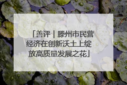 善评｜滕州市民营经济在创新沃土上绽放高质量发展之花