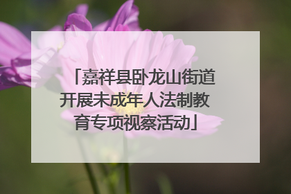 嘉祥县卧龙山街道开展未成年人法制教育专项视察活动