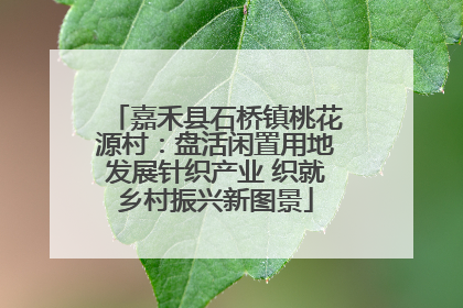 嘉禾县石桥镇桃花源村：盘活闲置用地发展针织产业 织就乡村振兴新图景