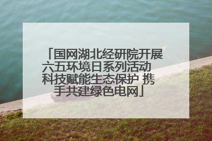 国网湖北经研院开展六五环境日系列活动 科技赋能生态保护 携手共建绿色电网