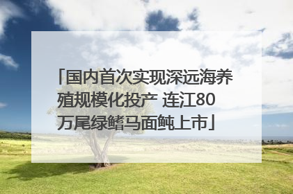 国内首次实现深远海养殖规模化投产 连江80万尾绿鳍马面鲀上市