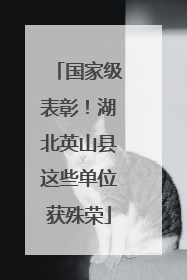 国家级表彰！湖北英山县这些单位获殊荣