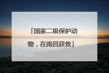 国家二级保护动物，在南昌获救