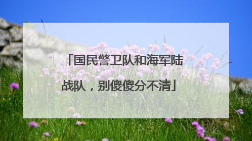 国民警卫队和海军陆战队，别傻傻分不清