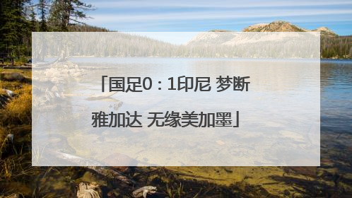 国足0∶1印尼 梦断雅加达 无缘美加墨