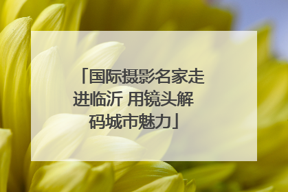 国际摄影名家走进临沂 用镜头解码城市魅力