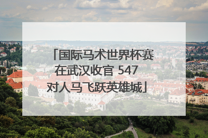 国际马术世界杯赛在武汉收官 547对人马飞跃英雄城