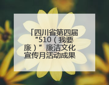 四川省第四届“510（我要廉）”廉洁文化宣传月活动成果发布会举行