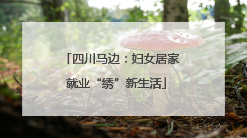 四川马边：妇女居家就业“绣”新生活