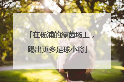 在杨浦的绿茵场上，踢出更多足球小将