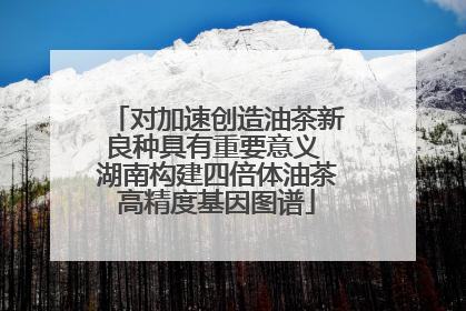 对加速创造油茶新良种具有重要意义 湖南构建四倍体油茶高精度基因图谱