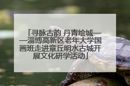 寻脉古韵 丹青绘城——淄博高新区老年大学国画班走进章丘明水古城开展文化研学活动