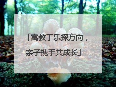 寓教于乐探方向，亲子携手共成长
