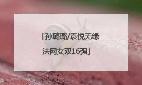 孙璐璐/袁悦无缘法网女双16强