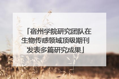 宿州学院研究团队在生物传感领域顶级期刊发表多篇研究成果