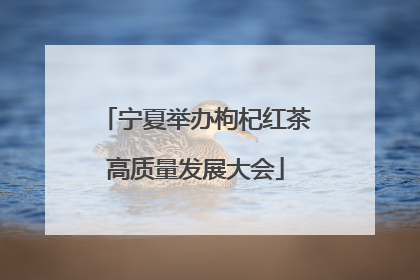 宁夏举办枸杞红茶高质量发展大会