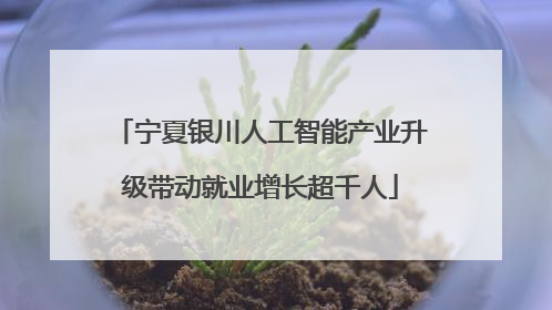 宁夏银川人工智能产业升级带动就业增长超千人